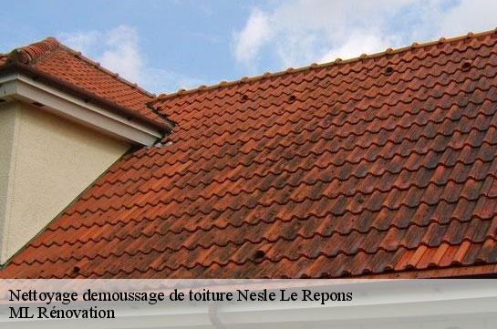 Nettoyage demoussage de toiture  51700