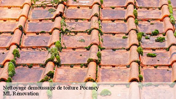 Nettoyage demoussage de toiture  pocancy-51130 ML Rénovation