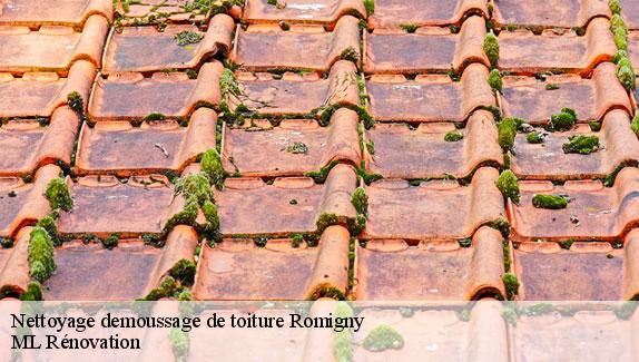 Nettoyage demoussage de toiture  romigny-51170 ML Rénovation