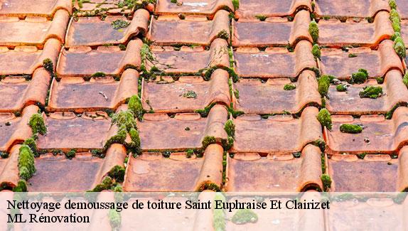 Nettoyage demoussage de toiture  saint-euphraise-et-clairizet-51390 ML Rénovation