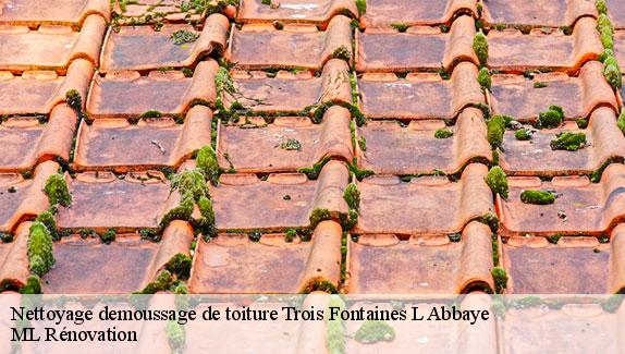 Nettoyage demoussage de toiture  51340